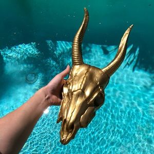 Golden Cow/Bull Skull Wall Decor